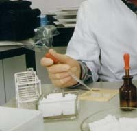 DNA-Analyse