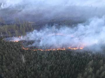 Schweden, Waldbrand