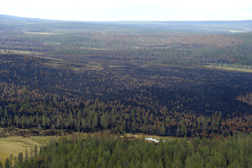 Feuerwehr in Schweden