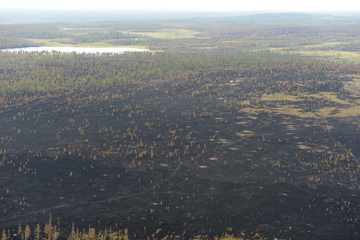 Feuerwehr in Schweden