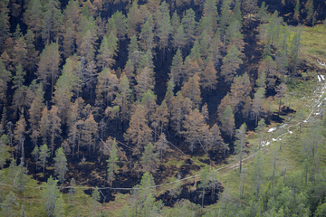 Feuerwehr in Schweden