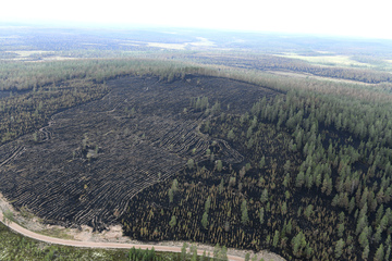 Feuerwehr in Schweden