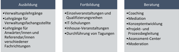 SiN_Ausbilung_Fortbildung_Beratung.png